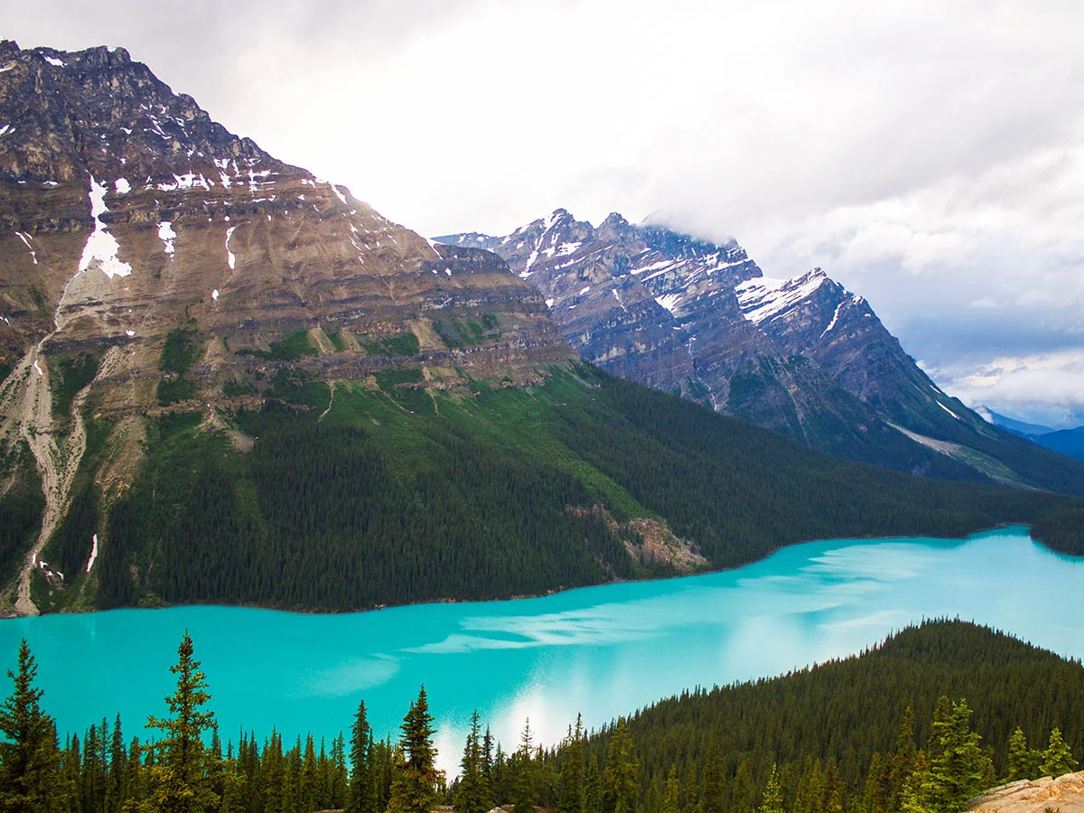 Canada-7-day-Rockies-Tour - Peyto-Lake-